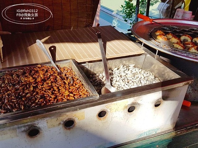 釜山海景,機張景點,海東龍宮寺,海雲台到海東龍宮寺交通,在釜山搭公車 