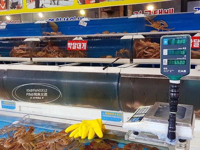 機張市場,雪蟹之家대게하우스,韓國大蟹,帝王蟹,松葉蟹,蟹膏炒飯,在釜山搭公車 機張市場,雪蟹之家대게하우스,韓國大蟹,帝王蟹,松葉蟹,蟹膏炒飯,在釜山搭公車