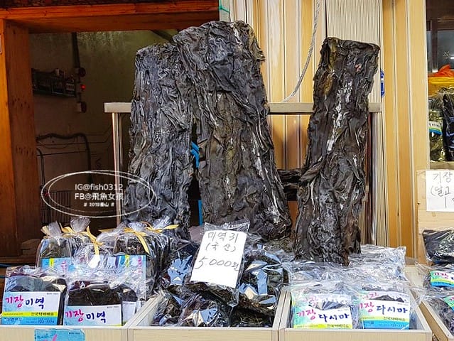 機張市場,雪蟹之家대게하우스,韓國大蟹,帝王蟹,松葉蟹,蟹膏炒飯,在釜山搭公車 機張市場,雪蟹之家대게하우스,韓國大蟹,帝王蟹,松葉蟹,蟹膏炒飯,在釜山搭公車