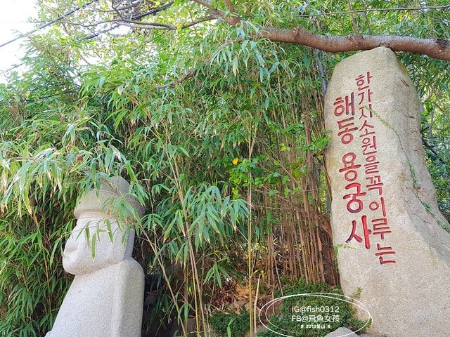 釜山海景,機張景點,海東龍宮寺,海雲台到海東龍宮寺交通,在釜山搭公車 