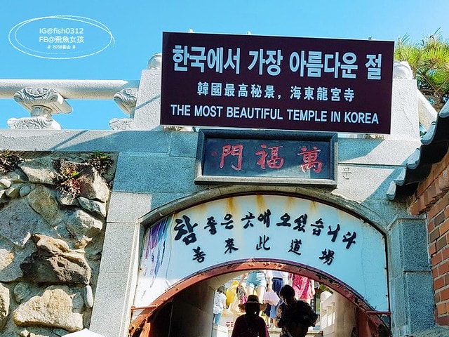 釜山海景,機張景點,海東龍宮寺,海雲台到海東龍宮寺交通,在釜山搭公車 