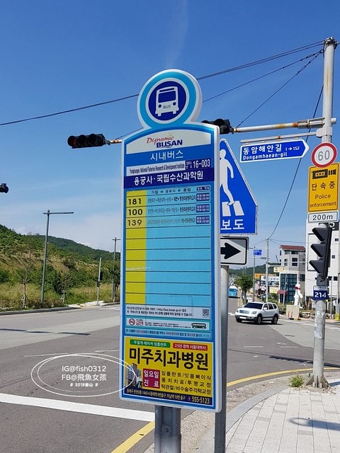 釜山海景,機張景點,海東龍宮寺,海雲台到海東龍宮寺交通,在釜山搭公車 