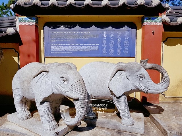 釜山海景,機張景點,海東龍宮寺,海雲台到海東龍宮寺交通,在釜山搭公車 