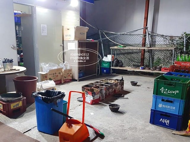 釜山美食,松島必吃,釜山烤貝,海盜海鮮國家,해적해물나라,章魚火鍋,釜山布帳馬車美食,釜山海鮮,松島海鮮,松島烤貝 釜山美食,松島必吃,釜山烤貝,海盜海鮮國家,해적해물나라,章魚火鍋,釜山布帳馬車美食,釜山海鮮,松島海鮮,松島烤貝