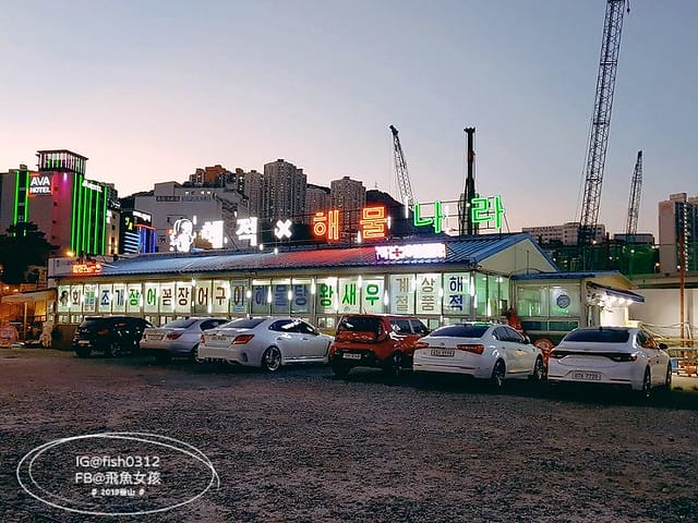 釜山美食,松島必吃,釜山烤貝,海盜海鮮國家,해적해물나라,章魚火鍋,釜山布帳馬車美食,釜山海鮮,松島海鮮,松島烤貝 釜山美食,松島必吃,釜山烤貝,海盜海鮮國家,해적해물나라,章魚火鍋,釜山布帳馬車美食,釜山海鮮,松島海鮮,松島烤貝
