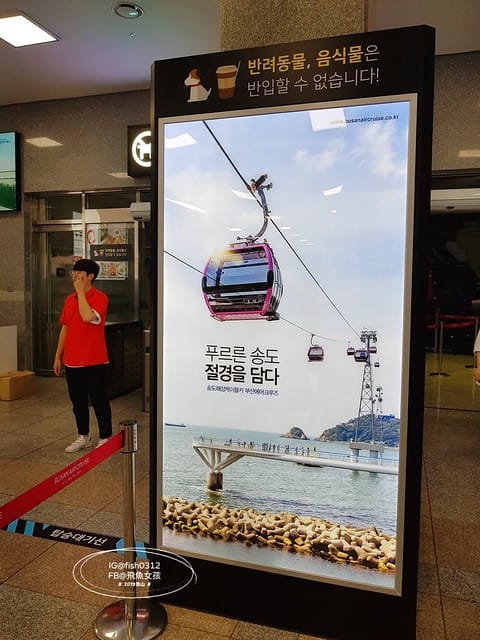 飛魚女孩,釜山景點,松島海上纜車,松島海上纜車交通,松島海上纜車美食,松島海上纜車時間,松島雲端散步路,松島天空步道,松島天空步道2025,松島天空步道交通,釜山松島纜車,釜山松島海上纜車,松島海上纜車預約,松島海上纜車韓文,松島纜車需要預約嗎,甘川到松島,甘川到松島纜車,甘川洞文化村到松島纜車計程車,甘川洞到松島纜車,甘川洞到松島,甘川洞文化村到松島纜車公車,松島纜車韓文地址,松島纜車白淺灘文化村,甘川洞文化村到松島纜車,甘川洞文化村 白淺灘文化村,松島纜車停留時間,松島纜車營業時間