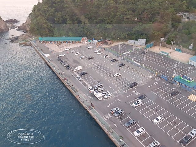 飛魚女孩,釜山景點,松島海上纜車,松島海上纜車交通,松島海上纜車美食,松島海上纜車時間,松島雲端散步路,松島天空步道,松島天空步道2025,松島天空步道交通,釜山松島纜車,釜山松島海上纜車,松島海上纜車預約,松島海上纜車韓文,松島纜車需要預約嗎,甘川到松島,甘川到松島纜車,甘川洞文化村到松島纜車計程車,甘川洞到松島纜車,甘川洞到松島,甘川洞文化村到松島纜車公車,松島纜車韓文地址,松島纜車白淺灘文化村,甘川洞文化村到松島纜車,甘川洞文化村 白淺灘文化村,松島纜車停留時間,松島纜車營業時間