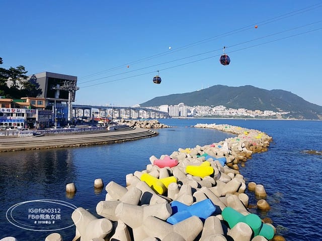 飛魚女孩,釜山景點,松島海上纜車,松島海上纜車交通,松島海上纜車美食,松島海上纜車時間,松島雲端散步路,松島天空步道,松島天空步道2025,松島天空步道交通,釜山松島纜車,釜山松島海上纜車,松島海上纜車預約,松島海上纜車韓文,松島纜車需要預約嗎,甘川到松島,甘川到松島纜車,甘川洞文化村到松島纜車計程車,甘川洞到松島纜車,甘川洞到松島,甘川洞文化村到松島纜車公車,松島纜車韓文地址,松島纜車白淺灘文化村,甘川洞文化村到松島纜車,甘川洞文化村 白淺灘文化村,松島纜車停留時間,松島纜車營業時間
