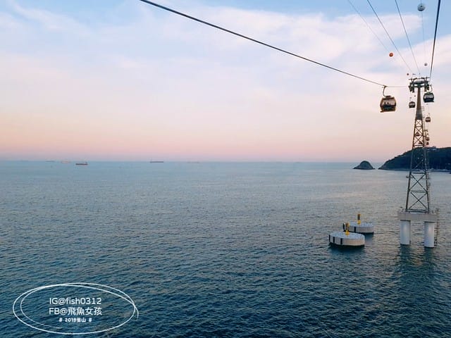 飛魚女孩,釜山景點,松島海上纜車,松島海上纜車交通,松島海上纜車美食,松島海上纜車時間,松島雲端散步路,松島天空步道,松島天空步道2025,松島天空步道交通,釜山松島纜車,釜山松島海上纜車,松島海上纜車預約,松島海上纜車韓文,松島纜車需要預約嗎,甘川到松島,甘川到松島纜車,甘川洞文化村到松島纜車計程車,甘川洞到松島纜車,甘川洞到松島,甘川洞文化村到松島纜車公車,松島纜車韓文地址,松島纜車白淺灘文化村,甘川洞文化村到松島纜車,甘川洞文化村 白淺灘文化村,松島纜車停留時間,松島纜車營業時間