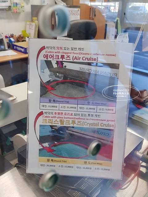 飛魚女孩,釜山景點,松島海上纜車,松島海上纜車交通,松島海上纜車美食,松島海上纜車時間,松島雲端散步路,松島天空步道,松島天空步道2025,松島天空步道交通,釜山松島纜車,釜山松島海上纜車,松島海上纜車預約,松島海上纜車韓文,松島纜車需要預約嗎,甘川到松島,甘川到松島纜車,甘川洞文化村到松島纜車計程車,甘川洞到松島纜車,甘川洞到松島,甘川洞文化村到松島纜車公車,松島纜車韓文地址,松島纜車白淺灘文化村,甘川洞文化村到松島纜車,甘川洞文化村 白淺灘文化村,松島纜車停留時間,松島纜車營業時間