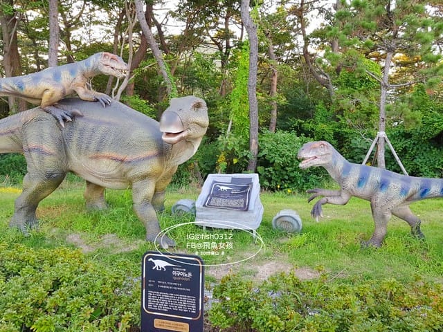 飛魚女孩,釜山景點,松島海上纜車,松島海上纜車交通,松島海上纜車美食,松島海上纜車時間,松島雲端散步路,松島天空步道,松島天空步道2025,松島天空步道交通,釜山松島纜車,釜山松島海上纜車,松島海上纜車預約,松島海上纜車韓文,松島纜車需要預約嗎,甘川到松島,甘川到松島纜車,甘川洞文化村到松島纜車計程車,甘川洞到松島纜車,甘川洞到松島,甘川洞文化村到松島纜車公車,松島纜車韓文地址,松島纜車白淺灘文化村,甘川洞文化村到松島纜車,甘川洞文化村 白淺灘文化村,松島纜車停留時間,松島纜車營業時間