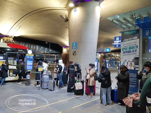 明洞住宿,明洞第一住宿飯店,Hotel First Stay Myeongdong,First stay hotel eagle owl,明洞住宿推薦,南大門住宿推薦,首爾住宿推薦