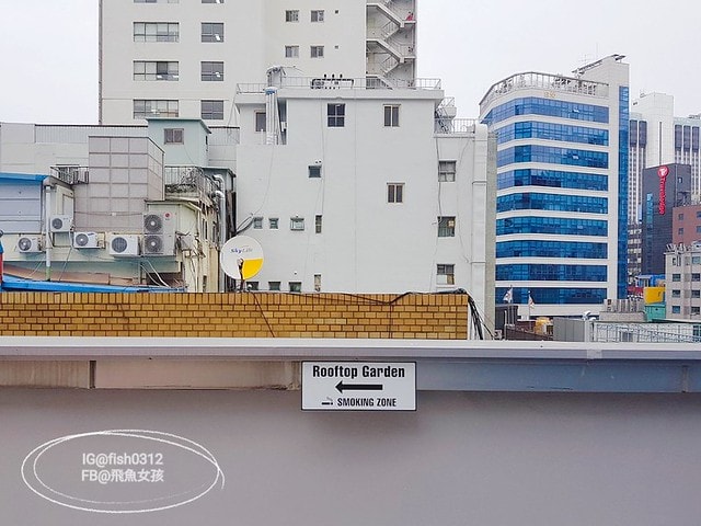 明洞住宿,明洞第一住宿飯店,Hotel First Stay Myeongdong,First stay hotel eagle owl,明洞住宿推薦,南大門住宿推薦,首爾住宿推薦