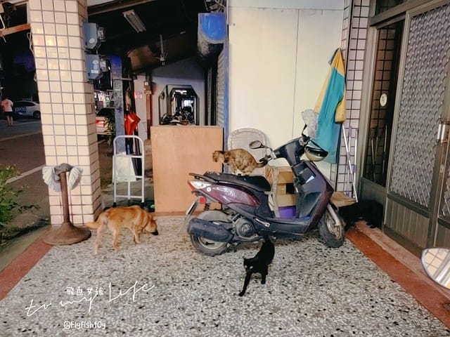 日日好時光,日日好時光民宿,光復火車站住宿,光復 住宿,日日好時光 民宿,光復住宿,花蓮光復住宿,光復住宿推薦,花蓮光復住宿推薦,光復民宿,大農大富住宿