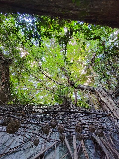 台南景點推薦,台南老糖廠,十鼓文創園區,台南清水堂草莓冰,藍晒圖文創園區