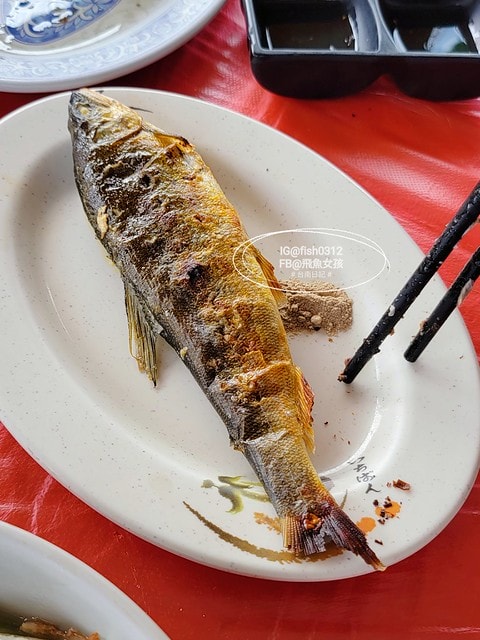 台南必吃 隱藏版平價海鮮燒烤 最新鮮的台61線烤蚵烤蛤 61線活海產