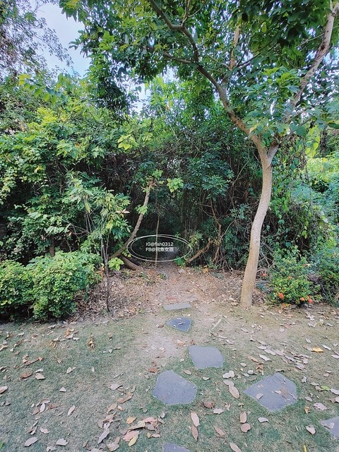 台灣嘉義。嘉義景點 民雄鬼屋咖啡 遙望歷史建築劉家古厝 民雄鬼屋 台灣五大鬼屋之一