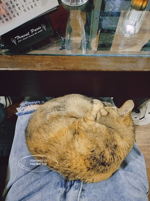 台灣嘉義。嘉義景點 民雄鬼屋咖啡 遙望歷史建築劉家古厝 民雄鬼屋 台灣五大鬼屋之一