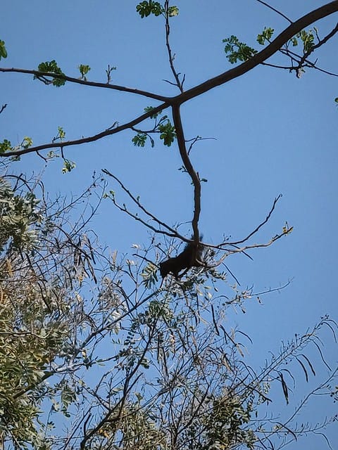 高雄左營 眷村散步地圖 果貿社區 海軍總司令部情報處拘留所遺址 左營大街三樓冰茶室 再見捌捌陸臺灣眷村文化園區 將軍好宅 高雄左營 眷村散步地圖 果貿社區 海軍總司令部情報處拘留所遺址 左營大街三樓冰茶室 再見捌捌陸臺灣眷村文化園區 將軍好宅
