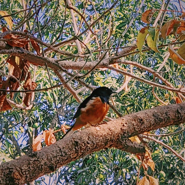 高雄左營 眷村散步地圖 果貿社區 海軍總司令部情報處拘留所遺址 左營大街三樓冰茶室 再見捌捌陸臺灣眷村文化園區 將軍好宅 高雄左營 眷村散步地圖 果貿社區 海軍總司令部情報處拘留所遺址 左營大街三樓冰茶室 再見捌捌陸臺灣眷村文化園區 將軍好宅