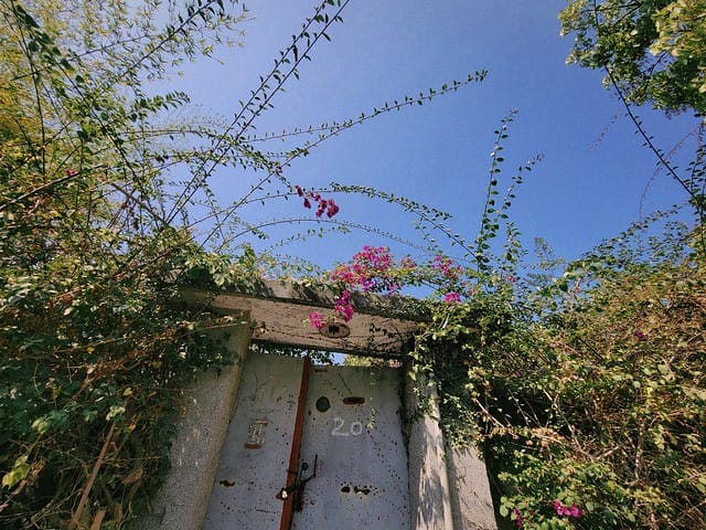 高雄左營 眷村散步地圖 果貿社區 海軍總司令部情報處拘留所遺址 左營大街三樓冰茶室 再見捌捌陸臺灣眷村文化園區 將軍好宅 高雄左營 眷村散步地圖 果貿社區 海軍總司令部情報處拘留所遺址 左營大街三樓冰茶室 再見捌捌陸臺灣眷村文化園區 將軍好宅