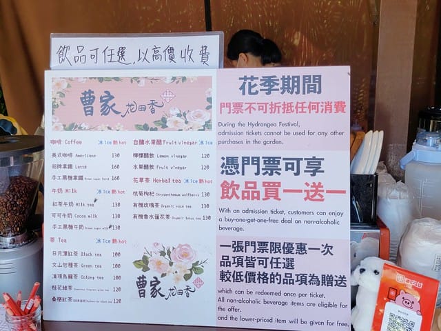 2023陽明山繡球花季,比人高的繡球花牆,竹子湖曹家花田香,2023繡球花花況,陽明山曹家繡球花