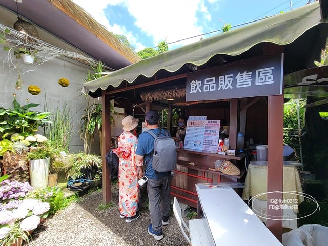 2023陽明山繡球花季,比人高的繡球花牆,竹子湖曹家花田香,2023繡球花花況,陽明山曹家繡球花