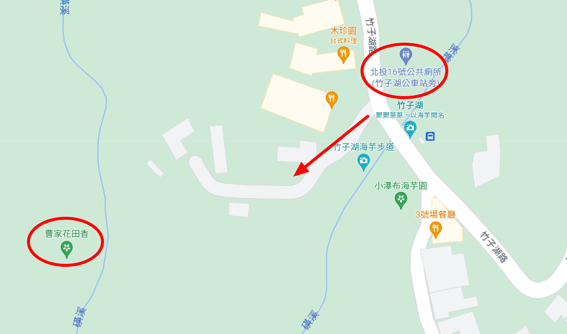 2023陽明山繡球花季,比人高的繡球花牆,竹子湖曹家花田香,2023繡球花花況,陽明山曹家繡球花