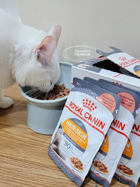 法國皇家HS33亮毛護膚成貓專用乾糧,ROYALCANIN貓飼料推薦,貓糧評價,法國皇家保健貓系列,貓飼料推薦,貓濕糧推薦,法國皇家貓四