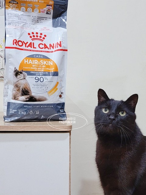 法國皇家HS33亮毛護膚成貓專用乾糧,ROYALCANIN貓飼料推薦,貓糧評價,法國皇家保健貓系列,貓飼料推薦,貓濕糧推薦,法國皇家貓四