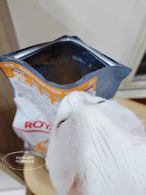 法國皇家HS33亮毛護膚成貓專用乾糧,ROYALCANIN貓飼料推薦,貓糧評價,法國皇家保健貓系列,貓飼料推薦,貓濕糧推薦,法國皇家貓四