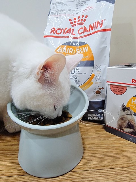 法國皇家HS33亮毛護膚成貓專用乾糧,ROYALCANIN貓飼料推薦,貓糧評價,法國皇家保健貓系列,貓飼料推薦,貓濕糧推薦,法國皇家貓四