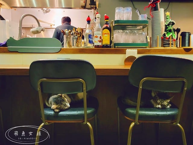 TAKEOUT CURRY SHOP咖哩專門店,台北咖哩,東區咖哩,延吉街餐廳,台北貓咪餐廳,貓奴必吃,貓咪楓糖布丁,台北貓咪咖啡廳,takeoutcurryshop菜單