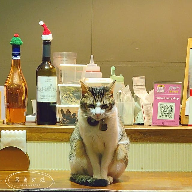 TAKEOUT CURRY SHOP咖哩專門店,台北咖哩,東區咖哩,延吉街餐廳,台北貓咪餐廳,貓奴必吃,貓咪楓糖布丁,台北貓咪咖啡廳,takeoutcurryshop菜單