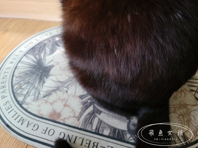 Pawsitive和樂茸茸,管理毛事茸毛排毛粉,Pawsitive和樂茸茸評價,管理毛事茸毛排毛粉評價,貓咪排毛粉推薦,爆毛排毛粉開箱,貓咪化毛保健分享,貓奴排毛推薦,貓咪化毛新選擇,貓咪皮膚保養推薦,貓咪毛髮營養品分享,貓咪爆毛好物推薦,爆毛粉有用嗎 Pawsitive和樂茸茸,管理毛事茸毛排毛粉,Pawsitive和樂茸茸評價,管理毛事茸毛排毛粉評價,貓咪排毛粉推薦,爆毛排毛粉開箱,貓咪化毛保健分享,貓奴排毛推薦,貓咪化毛新選擇,貓咪皮膚保養推薦,貓咪毛髮營養品分享,貓咪爆毛好物推薦,爆毛粉有用嗎