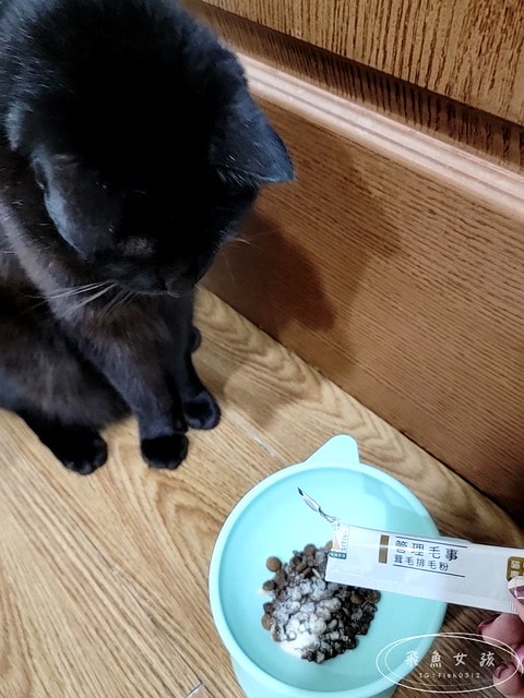 Pawsitive和樂茸茸,管理毛事茸毛排毛粉,Pawsitive和樂茸茸評價,管理毛事茸毛排毛粉評價,貓咪排毛粉推薦,爆毛排毛粉開箱,貓咪化毛保健分享,貓奴排毛推薦,貓咪化毛新選擇,貓咪皮膚保養推薦,貓咪毛髮營養品分享,貓咪爆毛好物推薦,爆毛粉有用嗎 Pawsitive和樂茸茸,管理毛事茸毛排毛粉,Pawsitive和樂茸茸評價,管理毛事茸毛排毛粉評價,貓咪排毛粉推薦,爆毛排毛粉開箱,貓咪化毛保健分享,貓奴排毛推薦,貓咪化毛新選擇,貓咪皮膚保養推薦,貓咪毛髮營養品分享,貓咪爆毛好物推薦,爆毛粉有用嗎