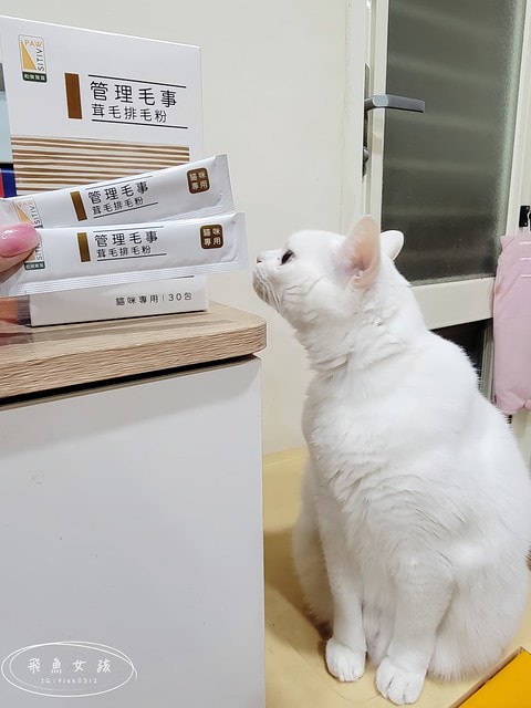 Pawsitive和樂茸茸,管理毛事茸毛排毛粉,Pawsitive和樂茸茸評價,管理毛事茸毛排毛粉評價,貓咪排毛粉推薦,爆毛排毛粉開箱,貓咪化毛保健分享,貓奴排毛推薦,貓咪化毛新選擇,貓咪皮膚保養推薦,貓咪毛髮營養品分享,貓咪爆毛好物推薦,爆毛粉有用嗎 Pawsitive和樂茸茸,管理毛事茸毛排毛粉,Pawsitive和樂茸茸評價,管理毛事茸毛排毛粉評價,貓咪排毛粉推薦,爆毛排毛粉開箱,貓咪化毛保健分享,貓奴排毛推薦,貓咪化毛新選擇,貓咪皮膚保養推薦,貓咪毛髮營養品分享,貓咪爆毛好物推薦,爆毛粉有用嗎