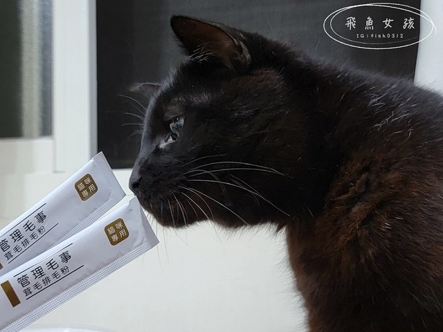 Pawsitive和樂茸茸,管理毛事茸毛排毛粉,Pawsitive和樂茸茸評價,管理毛事茸毛排毛粉評價,貓咪排毛粉推薦,爆毛排毛粉開箱,貓咪化毛保健分享,貓奴排毛推薦,貓咪化毛新選擇,貓咪皮膚保養推薦,貓咪毛髮營養品分享,貓咪爆毛好物推薦,爆毛粉有用嗎 Pawsitive和樂茸茸,管理毛事茸毛排毛粉,Pawsitive和樂茸茸評價,管理毛事茸毛排毛粉評價,貓咪排毛粉推薦,爆毛排毛粉開箱,貓咪化毛保健分享,貓奴排毛推薦,貓咪化毛新選擇,貓咪皮膚保養推薦,貓咪毛髮營養品分享,貓咪爆毛好物推薦,爆毛粉有用嗎