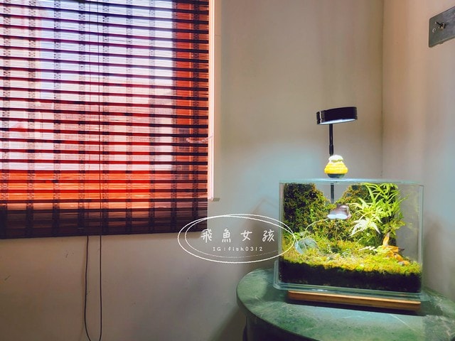 台中美食推薦,台中北區餐廳,老宅日料,回未了日式丼飯握壽司,回未了海鮮丼,台中老宅海鮮丼飯,松露鹽軟絲