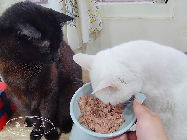 德國GranataPet,德國葛蕾特,德國葛蕾特交響樂主食貓罐,交響樂貓罐評價,交響樂低溫慢燉系列,交響樂無穀無膠貓罐,添加石榴貓罐