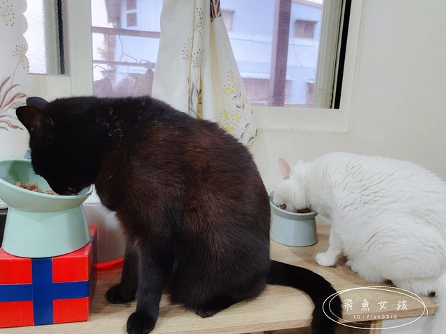 德國GranataPet,德國葛蕾特,德國葛蕾特交響樂主食貓罐,交響樂貓罐評價,交響樂低溫慢燉系列,交響樂無穀無膠貓罐,添加石榴貓罐