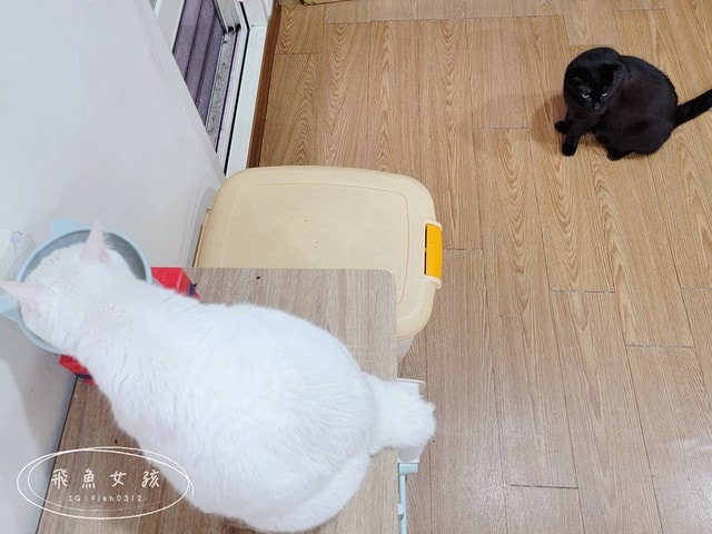 德國GranataPet,德國葛蕾特,德國葛蕾特交響樂主食貓罐,交響樂貓罐評價,交響樂低溫慢燉系列,交響樂無穀無膠貓罐,添加石榴貓罐