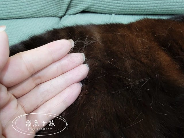 和樂茸茸Pawsitive評價,茸毛肚肚雙效益生菌評價,貓咪保健品牌分享,貓咪益生菌開箱,助消化貓咪保健分享,適口性好貓益生菌推薦,貓咪皮膚消化保健心得,貓皮膚毛髮保健品開箱,有感好菌貓保健品分享,方便餵食貓咪營養品開箱,貓咪改善過敏產品分享,提升免疫力貓咪產品心得,和樂茸茸Pawsitive,茸毛肚肚雙效益生菌,貓咪保健品牌分享,貓咪益生菌開箱,助消化貓咪保健分享,一顆抵四瓶,補足貓咪每日胺基酸