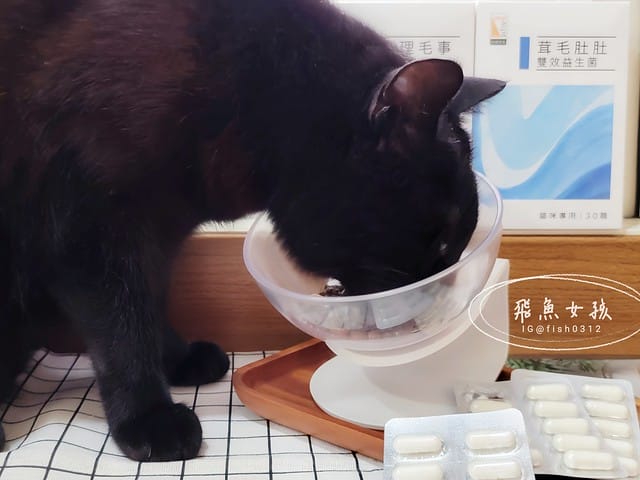 和樂茸茸Pawsitive評價,茸毛肚肚雙效益生菌評價,貓咪保健品牌分享,貓咪益生菌開箱,助消化貓咪保健分享,適口性好貓益生菌推薦,貓咪皮膚消化保健心得,貓皮膚毛髮保健品開箱,有感好菌貓保健品分享,方便餵食貓咪營養品開箱,貓咪改善過敏產品分享,提升免疫力貓咪產品心得,和樂茸茸Pawsitive,茸毛肚肚雙效益生菌,貓咪保健品牌分享,貓咪益生菌開箱,助消化貓咪保健分享,一顆抵四瓶,補足貓咪每日胺基酸