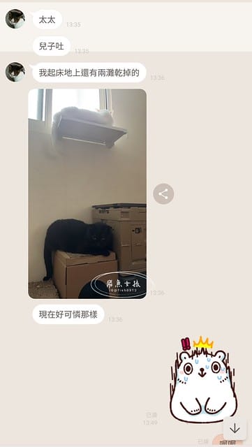 和樂茸茸Pawsitive評價,茸毛肚肚雙效益生菌評價,貓咪保健品牌分享,貓咪益生菌開箱,助消化貓咪保健分享,適口性好貓益生菌推薦,貓咪皮膚消化保健心得,貓皮膚毛髮保健品開箱,有感好菌貓保健品分享,方便餵食貓咪營養品開箱,貓咪改善過敏產品分享,提升免疫力貓咪產品心得,和樂茸茸Pawsitive,茸毛肚肚雙效益生菌,貓咪保健品牌分享,貓咪益生菌開箱,助消化貓咪保健分享,一顆抵四瓶,補足貓咪每日胺基酸