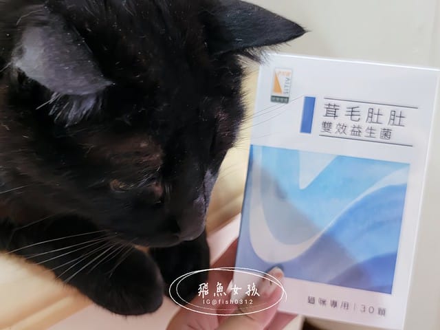 和樂茸茸Pawsitive評價,茸毛肚肚雙效益生菌評價,貓咪保健品牌分享,貓咪益生菌開箱,助消化貓咪保健分享,適口性好貓益生菌推薦,貓咪皮膚消化保健心得,貓皮膚毛髮保健品開箱,有感好菌貓保健品分享,方便餵食貓咪營養品開箱,貓咪改善過敏產品分享,提升免疫力貓咪產品心得,和樂茸茸Pawsitive,茸毛肚肚雙效益生菌,貓咪保健品牌分享,貓咪益生菌開箱,助消化貓咪保健分享,一顆抵四瓶,補足貓咪每日胺基酸