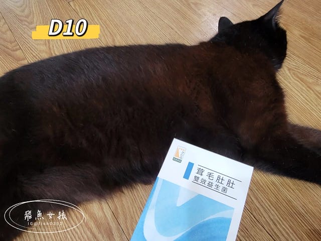 和樂茸茸Pawsitive評價,茸毛肚肚雙效益生菌評價,貓咪保健品牌分享,貓咪益生菌開箱,助消化貓咪保健分享,適口性好貓益生菌推薦,貓咪皮膚消化保健心得,貓皮膚毛髮保健品開箱,有感好菌貓保健品分享,方便餵食貓咪營養品開箱,貓咪改善過敏產品分享,提升免疫力貓咪產品心得,和樂茸茸Pawsitive,茸毛肚肚雙效益生菌,貓咪保健品牌分享,貓咪益生菌開箱,助消化貓咪保健分享,一顆抵四瓶,補足貓咪每日胺基酸