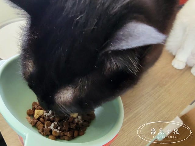 MTXX_MH20240421_155128382