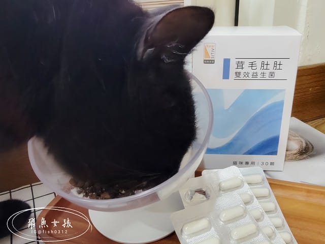 和樂茸茸Pawsitive評價,茸毛肚肚雙效益生菌評價,貓咪保健品牌分享,貓咪益生菌開箱,助消化貓咪保健分享,適口性好貓益生菌推薦,貓咪皮膚消化保健心得,貓皮膚毛髮保健品開箱,有感好菌貓保健品分享,方便餵食貓咪營養品開箱,貓咪改善過敏產品分享,提升免疫力貓咪產品心得,和樂茸茸Pawsitive,茸毛肚肚雙效益生菌,貓咪保健品牌分享,貓咪益生菌開箱,助消化貓咪保健分享,一顆抵四瓶,補足貓咪每日胺基酸