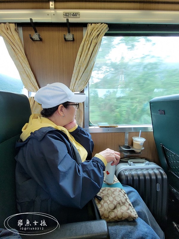 台鐵691車次,台鐵神秘列車復興號,台鐵復興號,復興號是區間車嗎,復興號火車,鐵道迷,鐵路迷,台鐵火車時刻表,台鐵歷史,火車歷史,台灣鐵路史,自強號莒光號復興號差別,台鐵老火車,唐榮製造,唐榮鐵工廠